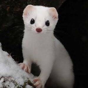 ながもんさんのプロフィール画像