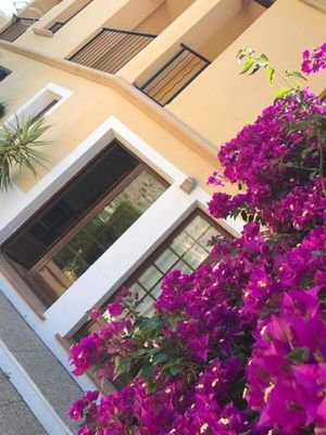 BenidormLet's profile picture. We are a married couple that love Benidorm,at the beginning of 2017 we took the plunge and bought our own little gem in the https://t.co/PdwZdc5xY7 we want to share it with you