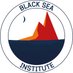 Black Sea Institute (@BlackSeaInst) Twitter profile photo