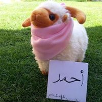 احمد بندق (@vrc5duxpqhzzb1h) 's Twitter Profile