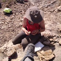 Paige Wilson (@waigepilson) 's Twitter Profile Photo