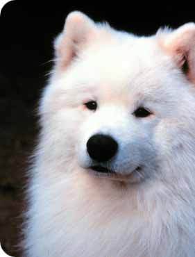 lauryyy23's profile picture. 