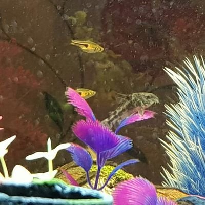 phillyp80's profile picture. All things motorsport!!!