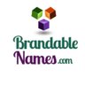 BrandableNames's profile picture. https://t.co/4f8IbVgqu9 Offering premium brandable domain names that 'pass the radio test'. @KevinMcKim #domains #domainnames