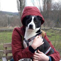 Barbora (@czechbar) 's Twitter Profile Photo