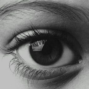 niregelan's profile picture. 