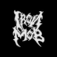 Iron Mob (@ironmobga) 's Twitter Profile