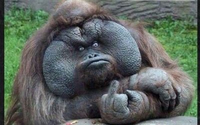 LifeWtheRents's profile picture. 