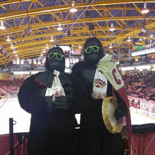 The legend goes that many years ago two friendly Apes decided to go to a hockey game. Now the Apes Attend hockey, auto racing and much More.