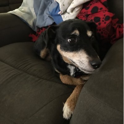 countrylisa430's profile picture. 