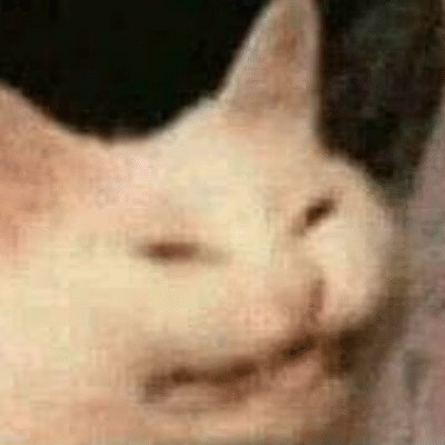 Damb Bryannelson1599 Twitter - 