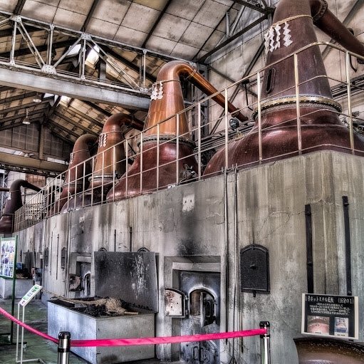 DNFH_jp's profile picture. 