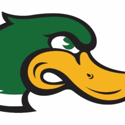 Celebrating 15 Years of Travel Baseball in Suburban Chicago. 👊🦆#FearTheDuck