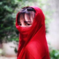 李子柒 (@cnliziqi) 's Twitter Profile
