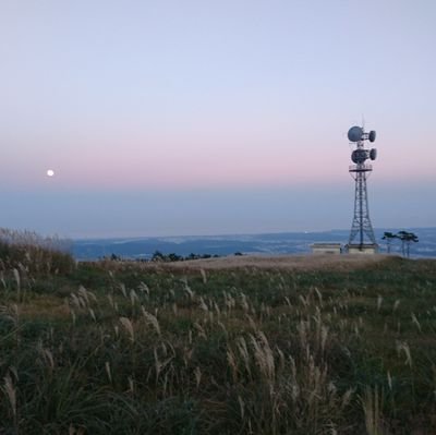 hDkmsJvwT4qDwnu's profile picture. (・д・)ノ