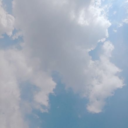 탄약さんのプロフィール画像