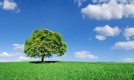 mikez9910's profile picture. Musician, artist, activist.