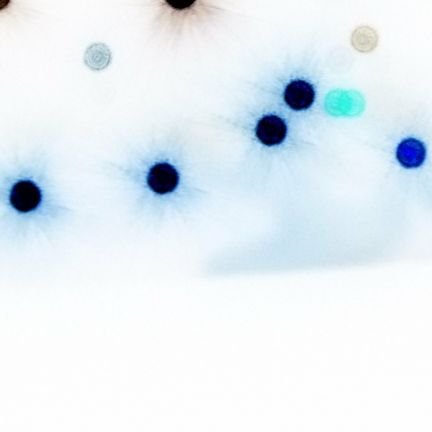 AlexBla19198474's profile picture. 