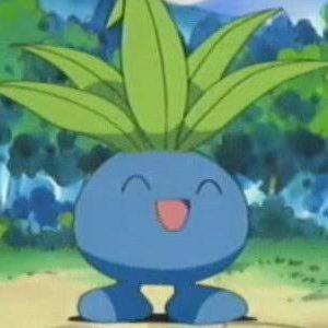 oddish_progate's profile picture. progateでプログラミングを極める