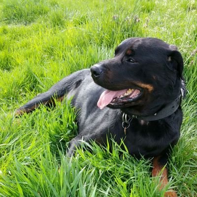 kanki__10's profile picture. 