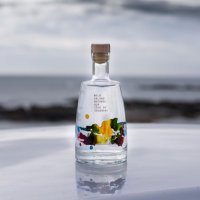 Wild Island Gin (@wildislandgin) 's Twitter Profile