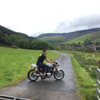 Will Rees-Hole (@theholeopinion) 's Twitter Profile