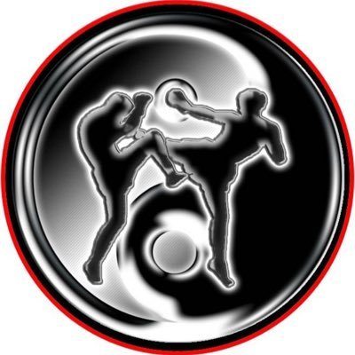 Teaching Martial Arts and Life Skills for all ages fro 4 to 70 https://t.co/3CUmTRarA1 Tel 07979 770036 Group Est in 1997