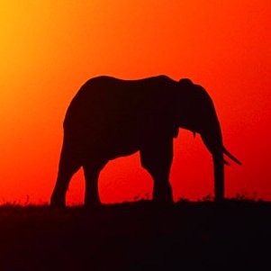 Gekiyasu_Japan's profile picture. ご愛顧誠にありがとうございます。