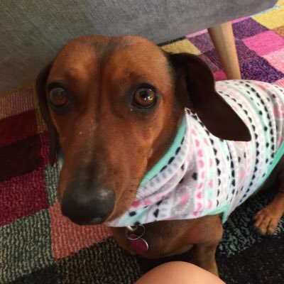 Carolin97669815's profile picture. Interests: farming, nature conservation, art, science. Dreaming of owning my own little farm in the next few years.