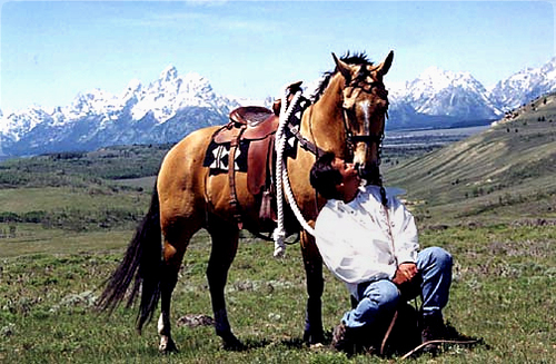 jacksonhole93's profile picture. 