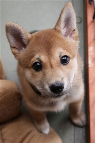 俺の全てはドロンちゃん。
自身のインスタ告知と選手試合告知用
https://t.co/dH8nLCU07v