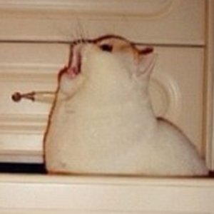 obcolor's profile picture. hey im andy / hola yo soy andy ✨