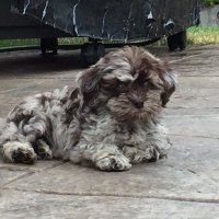 Steven Boyd (@steveboydkw) 's Twitter Profile