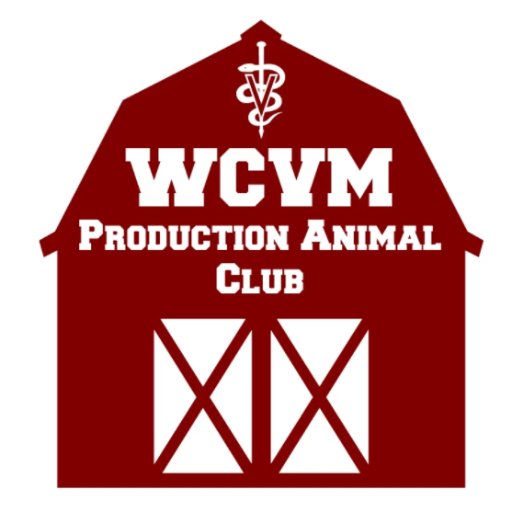 Veterinary Students of the Western College of Veterinary Medicine training to one day practice production animal medicine!