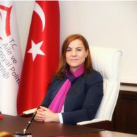 Aysel KANDEMİR (@aspb_kandemir) 's Twitter Profile