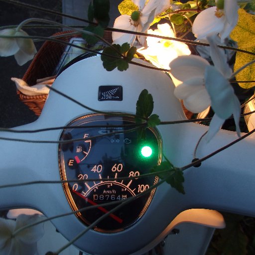 ciaociao_0209's profile picture. もっぱら情報収集用なので、ほとんど呟きません。いいねは備忘録含む。趣味は、リコーダー、和・洋菓子作り、読書、映画・音楽鑑賞、編み物、ヨガ、水泳、など。 2020年 #悪性リンパ腫びまん性大細胞型B細胞性リンパ腫 になるもR-CHOP療法で寛解。#脱原発、＃沖縄に基地はいらない、#反自公維