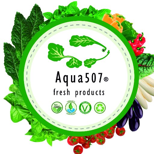 Vegetales frescos, libres de pesticida llenos de beneficios para tu salud, pide tu #listasaludable al correo: contacto@aqua507.org