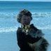 Anne Rabbitts (@artyanneuist) Twitter profile photo Anne Rabbitts (@artyanneuist) Twitter profile photo