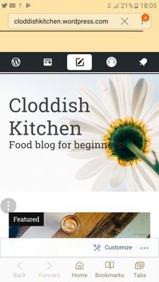 Cloddish Kitchen. Food blog for beginners! Link below.