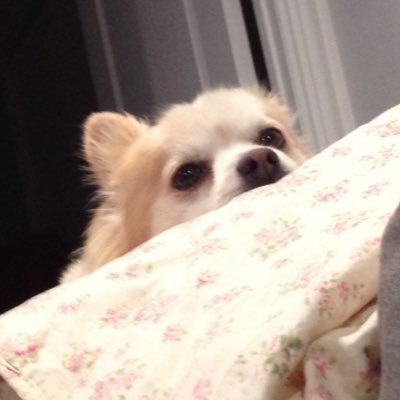 kdmccarthy726's profile picture. 