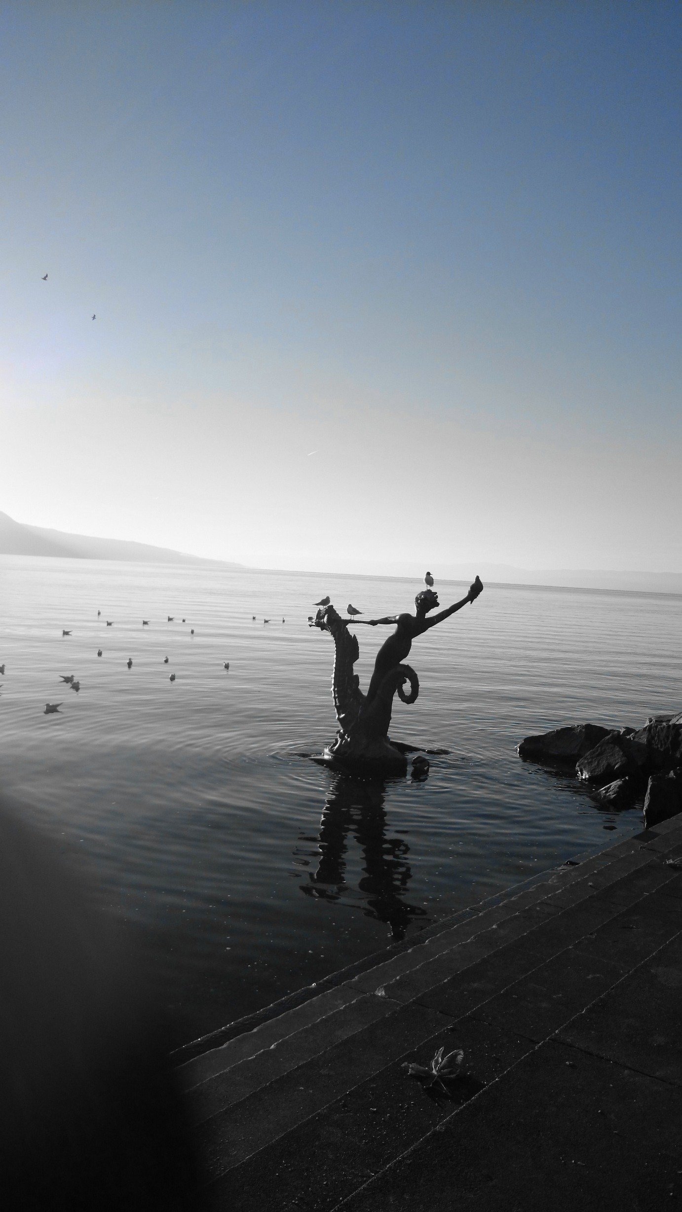 patricia_sanm's profile picture. 