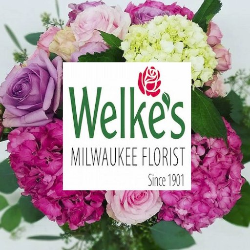 Milwaukee Florist, Since 1901, 2 locations Milwaukee and Elm Grove. Full retail floral shop offering same-day delivery locally and worldwide.