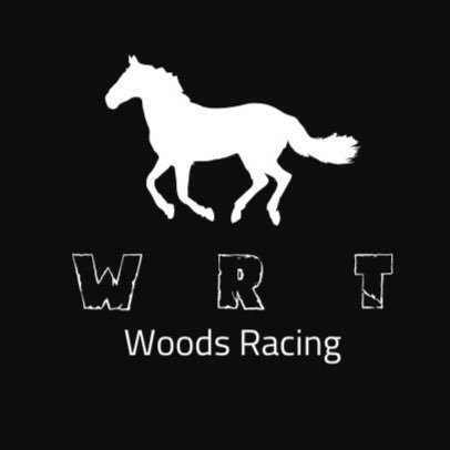 Welcome to Woods Racing Tips, here we give you our picks of the day studied by our experts.