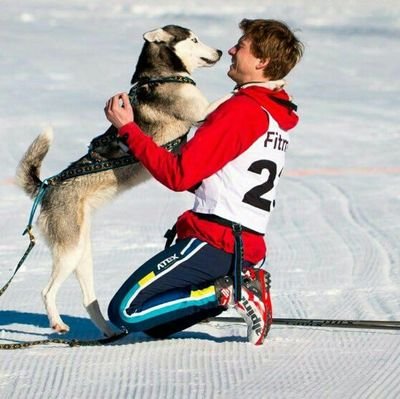 PetrVt3's profile picture. 