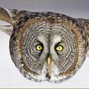 : Gary Guess - @twithell - Twitter