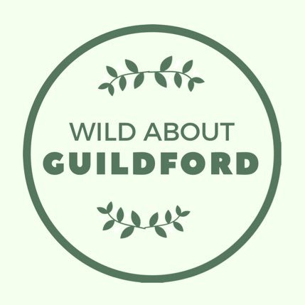 Exploring the great outdoors. Enjoying nature and wildlife in Guildford and surrounding area. Follow us for ideas and inspiration for activities and days out.