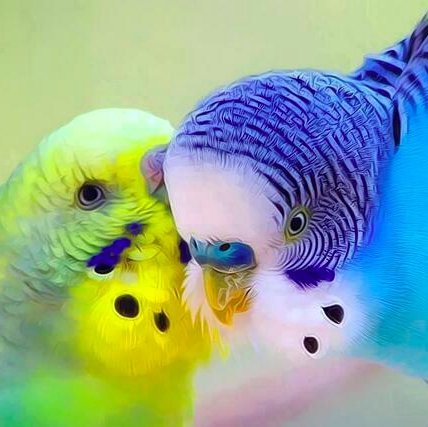 cicikusreturns's profile picture. aleyna tilki ve çitos efe fanı