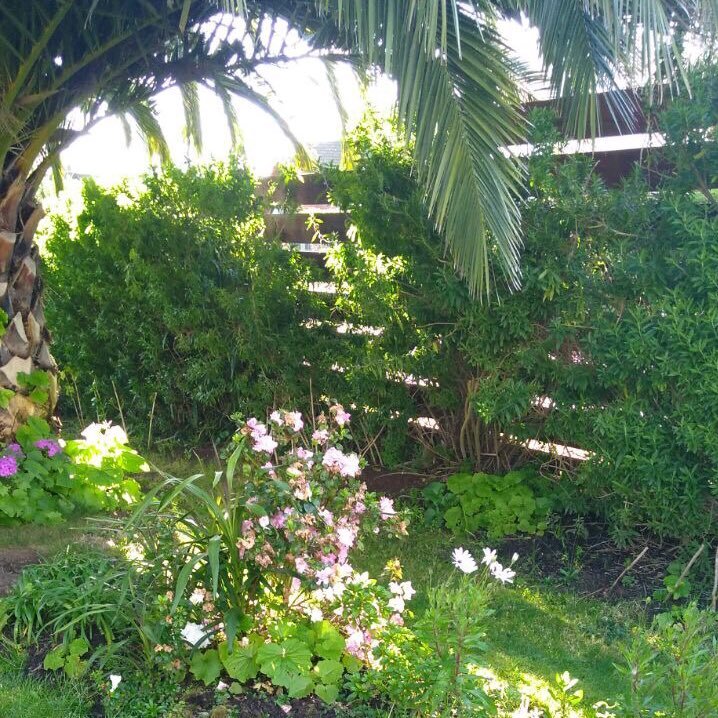 gentesinmemoria's profile picture. 