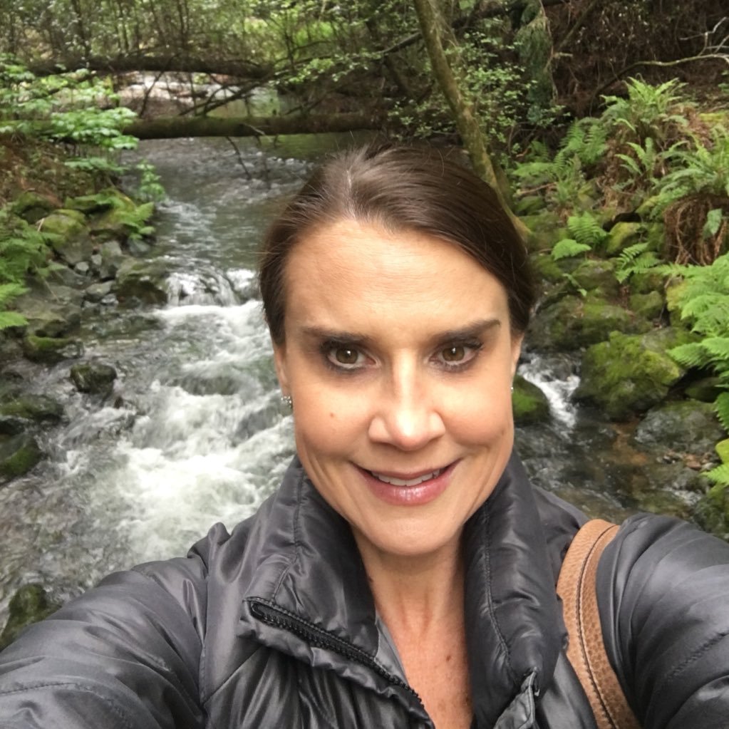 swilsonhouck's profile picture. 