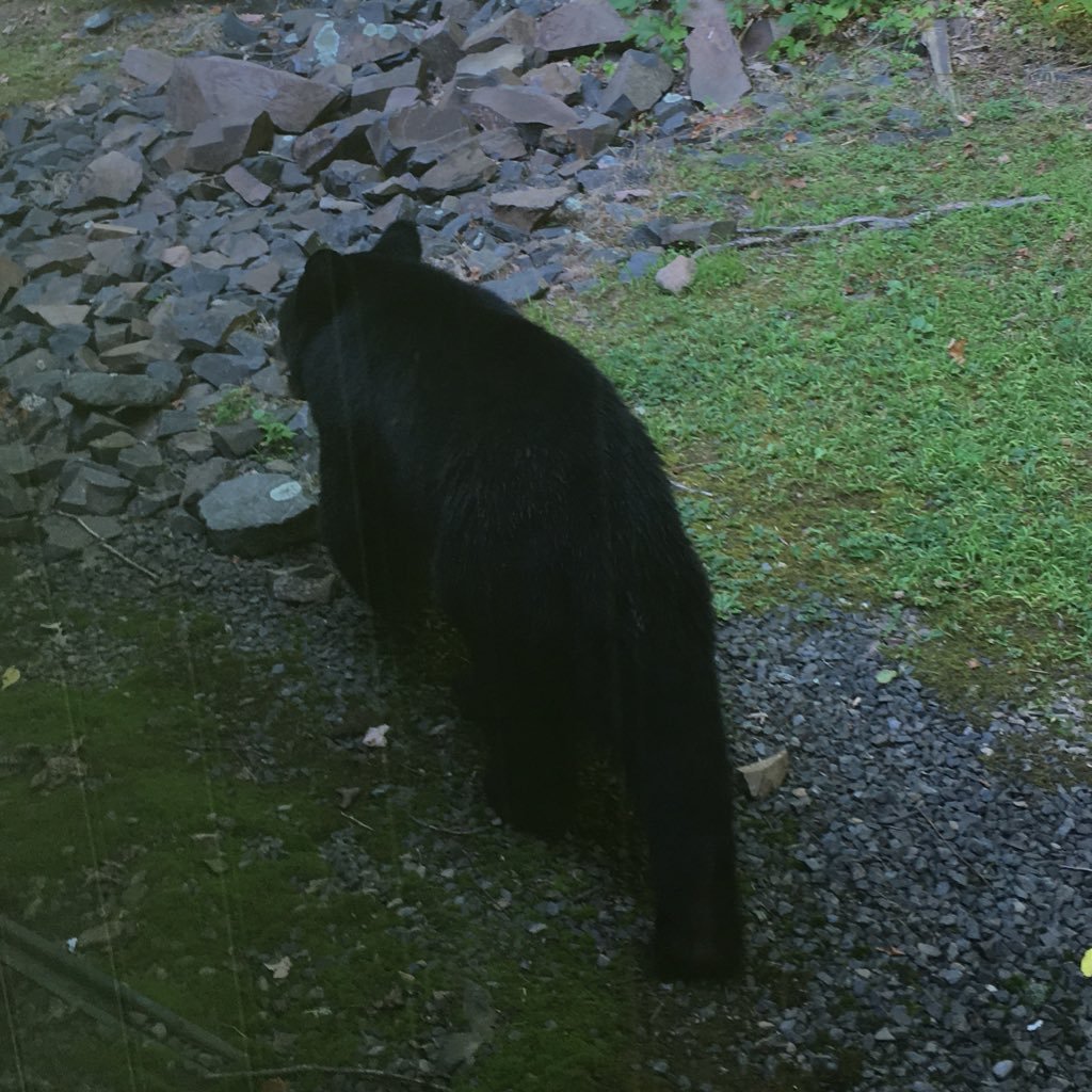 svfd398's profile picture. 